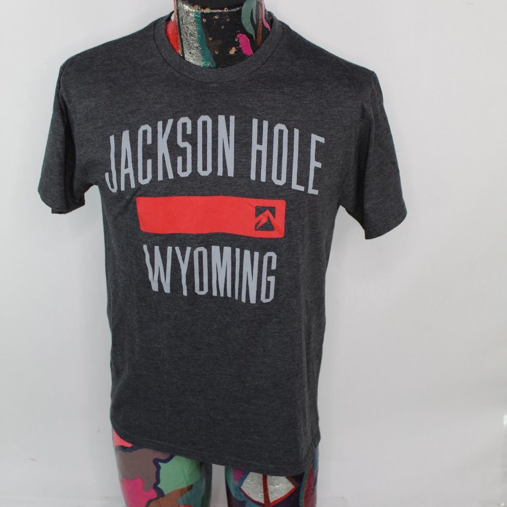 JACKSON HOLE WYOMING Mens Size Medium Gray T-shirt crew neck cotton